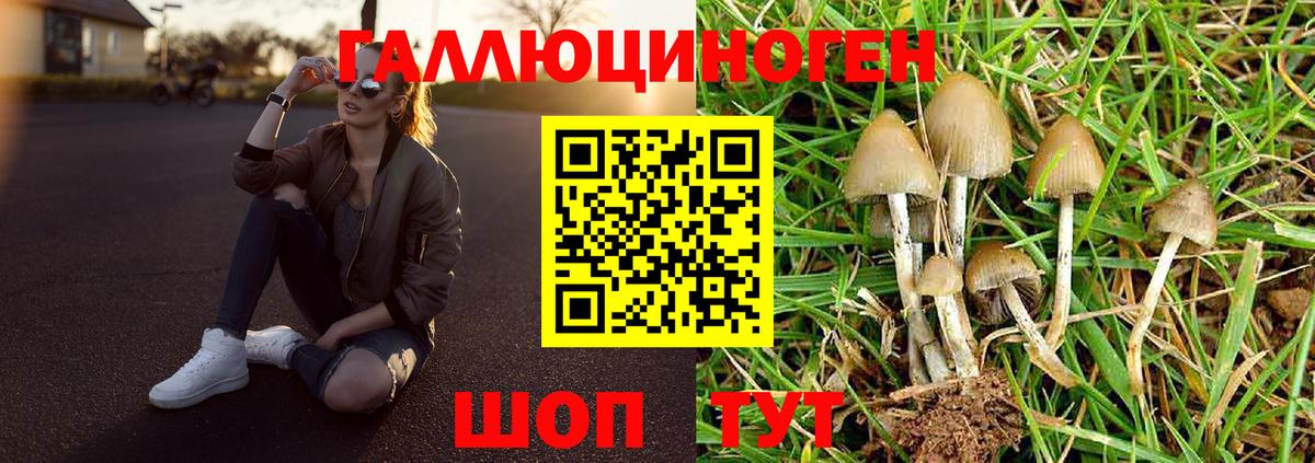 Псилоцибиновые грибы прущие грибы Майкоп